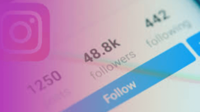 Instagram Followers Boost Online