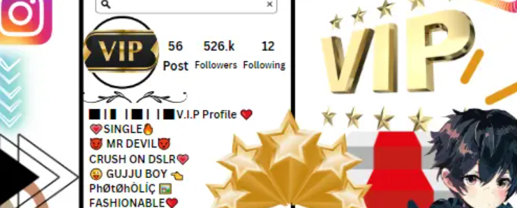 Instagram Vip Bio Stylish