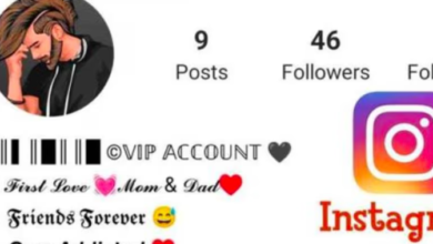 Instagram Vip Bio Stylish Font