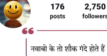 Instagram Bio Shayari