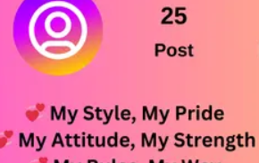 Instagram Bio Attitude