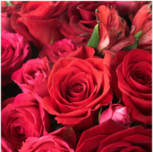 Aesthetic:Fg717absbvw= Flowers