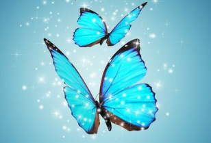 Blue:H-Ak2r9tiiq= Butterfly