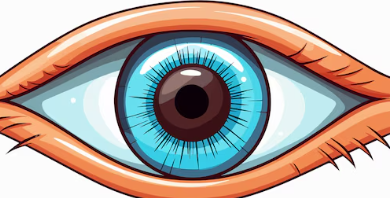 Clipart:Stzjs3yzppu= Eyeball