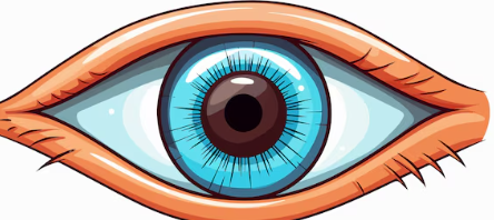 Clipart:Stzjs3yzppu= Eyeball