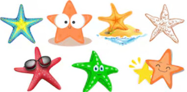 Clipart:Ly7ustwti0u= Starfish