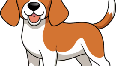 Clipart:6flsthamxjw= Dog