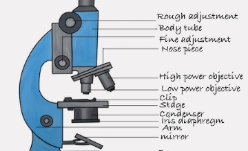 Diagram:Anho9uz3aos= Microscope