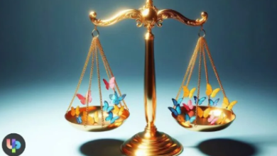 Design:Sg_Fvdznvbe= Balance