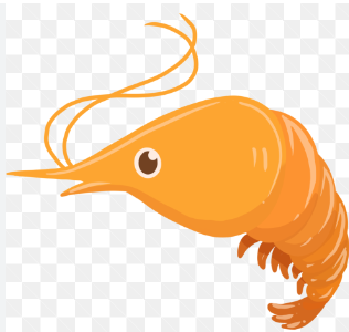 Cute:Xux3zqzusio= Shrimp