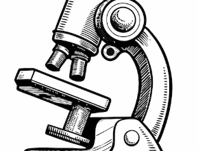 Diagram:Anho9uz3aos= Microscope Labeled