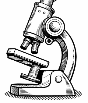 Diagram:Anho9uz3aos= Microscope Labeled