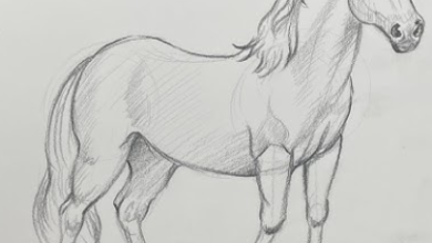 Drawing:'Ljd413jlg70= Horse'