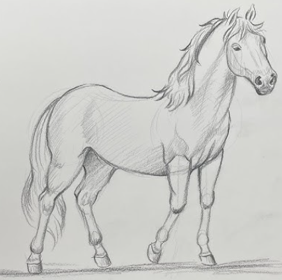 Drawing:'Ljd413jlg70= Horse'