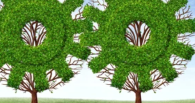 Drawing:Rwynvne6gdm= Trees