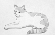 Drawing:Djnm7bfefze= Cat