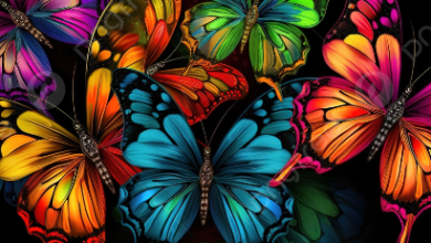 Wallpaper:Acpdg-1s3ts= Butterflies