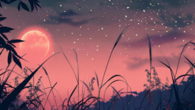 Wallpaper:Cthjqhfmsqe= Aesthetic